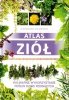 Atlas ziół Kulinarne wykorzystanie roślin dziko rosnących